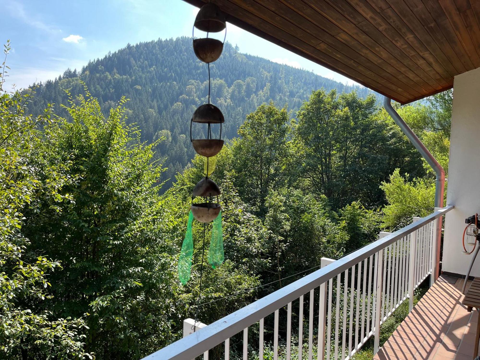 Appartement Waldhaus Max à Bad Wildbad Extérieur photo